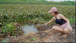 Amazing Fishing | Beautiful Girl Hunting Giant Fish in a Great Location