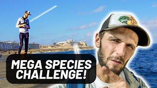 HOW MANY SPECIES CAN I CATCH IN MALTA?!  