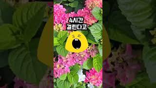 만날때 제가 와주길 바라는 남친 때문에 고민이에요