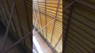  Жить с видом в деревянную стену! Зато в Сочи! Зато недорого! 