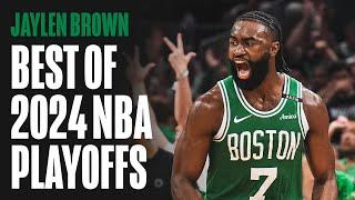 Jaylen Brown: Best of 2024 NBA Playoffs