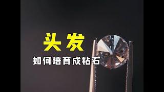 头发如何培育成钻石？把头发磨碎放液压机下，神奇的现象发生了#科学探照灯er #冷知识 #科普