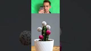 Разоблачение лайфхака кактус и драконий фрукт