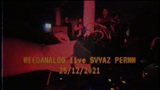 WEEDANALOG - live SVYAZ PERMM 25-12-21