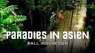 Indonesiens schönste Insel: Tropische Dschungel, Affen und Surfen. Erstaunliches Bali in 4K