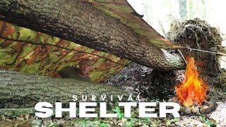 Building a Minimalist Survival Shelter: Survival Instructor Breaks Down the Shelter Build!