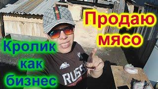 Как я продаю мясо кролика. Мой опыт!!! Кролики и бизнес!!!