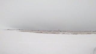 Рыбалка у чёрной дыры. Перемёт на налима. Серия сороковая.
