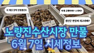 6월 7일 노량진수산시장 만물 (패류031) 시세정보 입니다. 35년 경력으로 믿고 찾아주세요
