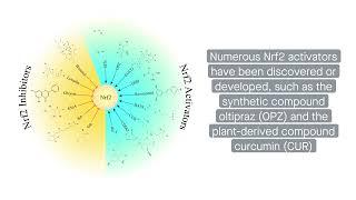 Balancing Nrf2 activation: A promising strategy for cancer treatment