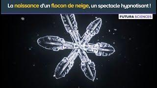 La naissance d'un flocon de neige, un spectacle hypnotisant !