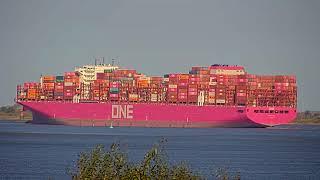 ONE FUTUREContainer ShipIMO: 9936393 22.10.2024 Elbe Grauerort