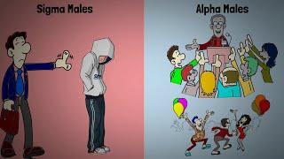 Difference Between Sigma Males and Alpha Males