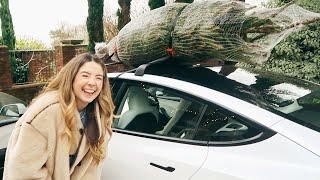 I Got My Norway Spruce & Eating Elf Poop | Vlogmas Day 16