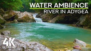 Flowing Waters White Noise & Bird Chirping for Concentration & Focus - 4K Mountain River in Adygea