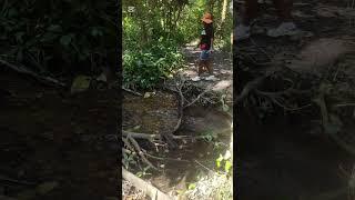 Family travel vlog: Evening Forest walk in Bundibujo
