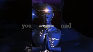 Pinocchio The Pineal Gland | Santos Bonacci #thirdeye