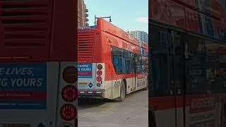 NICE: N20G Bus Great Neck (2021 New Flyer XN40 Xcelsior CNG 1994) - 1/12/2025