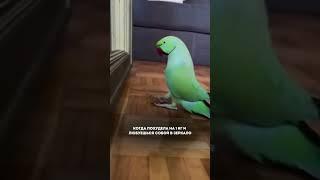 Рецепт трайфла малина-лимон,15 пп-ужинов, рецепт кокосовых конфет — все уже ждёт вас в telegram️‍