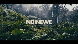 NDINEWE - Gemma Griffiths