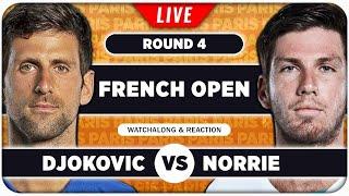 DJOKOVIC vs NORRIE • French Open 2025 • LIVE Tennis Watchalong