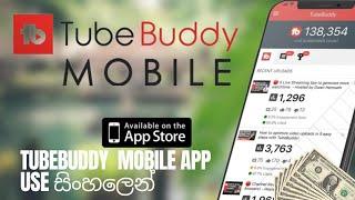 How To Use Tubbuddy Mobile App | Tubebuddy Mobile App Sinhala @lschashaabro