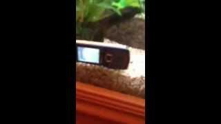 Mobycom Huawei Discovery Waterproof Test
