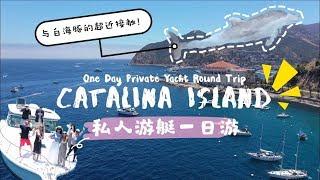 洛杉矶周边最火的Catalina海岛一日游|野生海豚为我们引航|绿箭口香糖家族的故事