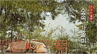 amping in a warm tent on a rainy day in autumn .  CAMPING