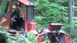 Tree Logging Bieszczady/Zrywka drewna Bieszczady