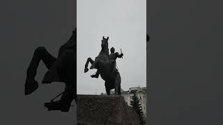 3109 Растения сквера Ермолов А П  памятник коне герой 1812 г Орел город Орёл Дмитрий из Орла #Shorts