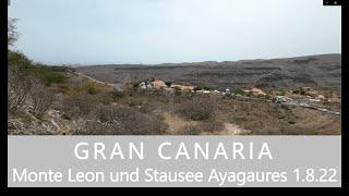 GRAN CANARIA Monte Leon, Palmitos Park, Stausee Ayagaures am 1.8.2022