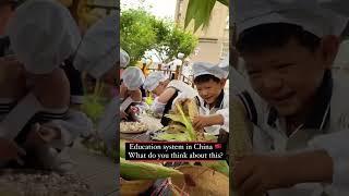 #what do you think China education system