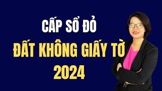 Hướng dẫn quy trình cấp sổ đỏ cho đất không có giấy tờ từ 1/7/2024 làm được ngay. | Đoàn Dung