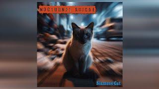 NOCTURNAL AMICAE - Siamese Cat [Indie Rock/Shoegaze - 122 BPM]