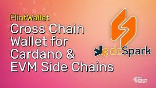 Overview of Flint wallet by DCSpark, EVM Crosschain Wallet for Cardano