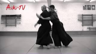 Hugo Chauveau Yoseikan Aiki-jujutsu demonstracija