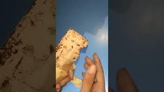 Ditch The Guilt Blueberry 🫐 Dark chocolate  Review