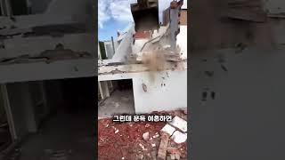 결국 집은 다시 완성되었어요