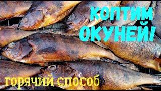 Коптим окуней горячим способом. Самый простой рецепт