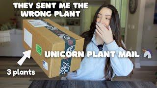  UNICORN  RARE PLANT Unboxing | The Rare Plant Fairy