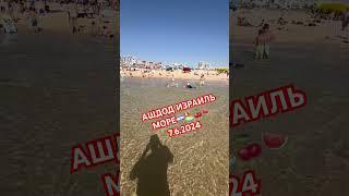 АШДОД ИЗРАИЛЬ МОРЕ️#squirrel #ашдод #любовь #israel#telaviv #ashdod #shortsvideo #7.6.2024