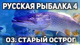 Русская рыбалка 4. В 16.00 мск тур на линя на Остроге!!! 1 место - фидер Palmar FD150(13 кг)