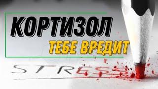 PRO КОРТИЗОЛ, КАК ОН ВРЕДИТ И КАК С НИМ БОРОТЬСЯ.