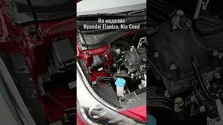 Моторы всех Kia и Hyundai отличаются низкой надежностью - в автосервисе раскрыли причины
