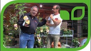 Karl Ploberger & Markus Kobelt im Gespräch über Brombeeren und Himbeeren