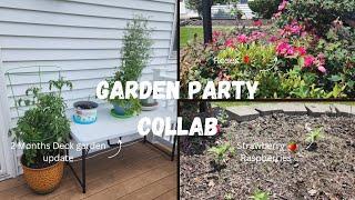 GARDEN PARTY COLLAB|| @annab3LL3TV  @pattiskitchengardenandmore