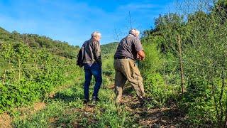 REPORTAGE DÉCOUVERTE ECO PAYSANS ET PRODUITS EXCEPTIONNELLES - Asperges et Fromage de chèvre