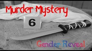 Murder Mystery / Gender Reveal