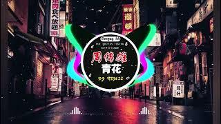 全中文DJ舞曲夜店混音舞曲串烧 2024  酒吧最火DJ舞曲  Chinese DJ remix  Hot Tiktok Douyin Dj 抖音版2025